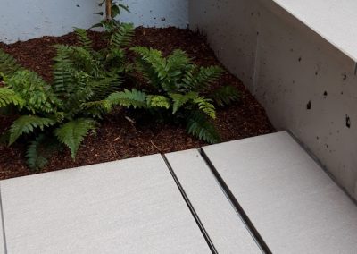 fern planted in white outdoor patio