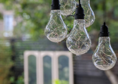 five naked lightbulbs hanging from a tree in contemporary garden