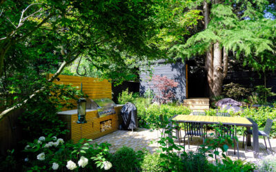 Princes Avenue – The Night and Day garden